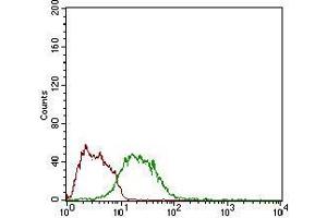 Flow cytometric analysis of LNcap cells using MSTN mouse mAb (green) and negative control (red).