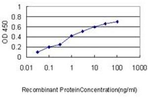 Detection limit for recombinant GST tagged NUMA1 is approximately 0. (NUMA1 antibody  (AA 200-306))