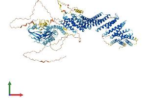 AlphaFold protein structure predicition of Mouse Recombinant Edrf1 Protein, UniprotID Q6GQV7
