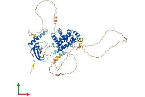 Protein Structure (PS) image for Male-Specific Lethal 3 Homolog (MSL3) (AA 1-521) protein (His tag) (ABIN7554615)