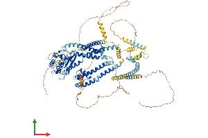 AlphaFold protein structure predicition of Mouse Recombinant Pkd2 Protein, UniprotID O35245 (PKD2 Protein (AA 1-966) (His tag))