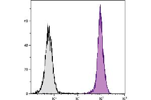 SJL mouse splenocytes were stained with Mouse Anti-Mouse CD45. (CD45.1 antibody  (FITC))