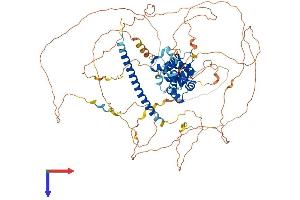 AlphaFold protein structure predicition of Human Recombinant REPS1 Protein, UniprotID Q96D71 (REPS1 Protein (AA 1-796) (His tag))