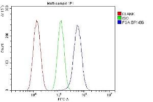 Flow Cytometry analysis of SiHa cells using anti-FGA antibody (ABIN7600004). (FGA antibody  (AA 139-784))