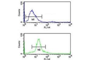 SSB antibody flow cytometry analysis of 293 cells (bottom histogram) compared to a negative control cell (top histogram). (SSB antibody  (AA 66-96))