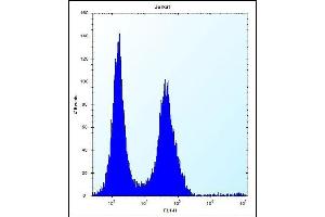 P4K2 Antibody (Center) (ABIN656275 and ABIN2845587) flow cytometric analysis of Jurkat cells (right histogram) compared to a negative control cell (left histogram). (MAP4K2 antibody  (AA 321-349))
