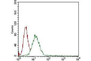 Flow cytometric analysis of A431 cells using B2M mouse mAb (green) and negative control (red). (beta-2 Microglobulin antibody  (AA 21-100))