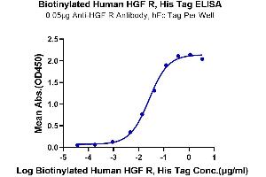 ELISA image for Met Proto-Oncogene (MET) (AA 25-932) protein (His-Avi Tag,Biotin) (ABIN7275249)