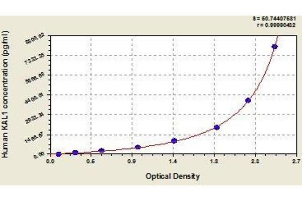 KAL1 ELISA Kit