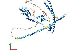 Protein Structure (PS) image for Ecto-NOX Disulfide-Thiol Exchanger 1 (ENOX1) (AA 1-643) protein (His tag) (ABIN7564359)