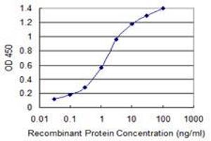 Detection limit for recombinant GST tagged LASS4 is 0. (LASS4 antibody  (AA 57-139))
