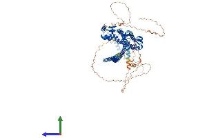 AlphaFold protein structure predicition of Human Recombinant KAZN Protein, UniprotID Q674X7