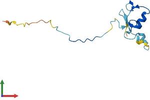 AlphaFold protein structure predicition of Human Recombinant RBX1 Protein, UniprotID P62877 (RBX1 Protein (AA 1-108) (His tag))