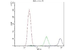 Flow Cytometry analysis of U20S cells using anti-Calpastatin antibody (ABIN4886503). (Calpastatin antibody  (Middle Region))