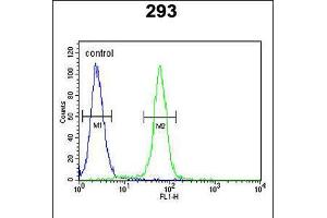Flow cytometric analysis of 293 cells (right histogram) compared to a negative control cell (left histogram). (c-FOS antibody  (C-Term))