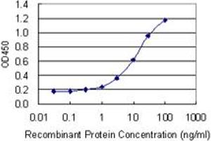 Detection limit for recombinant GST tagged EXOSC5 is 0. (EXOSC5 antibody  (AA 1-235))