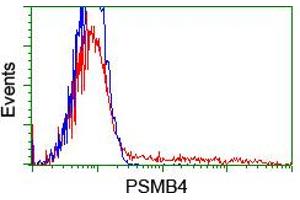 Flow Cytometry (FACS) image for anti-Proteasome (Prosome, Macropain) Subunit, beta Type, 4 (PSMB4) antibody (ABIN1500473) (PSMB4 antibody)