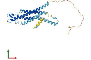 AlphaFold protein structure predicition of Human Recombinant GJB4 Protein, UniprotID Q9NTQ9