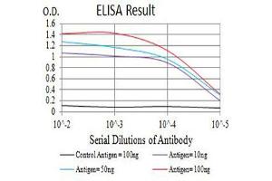 Black line: Control Antigen (100 ng),Purple line: Antigen (10 ng), Blue line: Antigen (50 ng), Red line:Antigen (100 ng) (CD16 antibody  (AA 17-208))