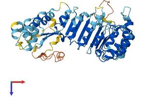 PRAME Family Member 2 (PRAMEF2) (AA 1-474) protein (His tag)