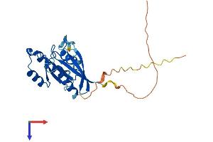 AlphaFold protein structure predicition of Mouse Recombinant Rab33b Protein, UniprotID O35963 (RAB33B Protein (AA 1-229) (His tag))