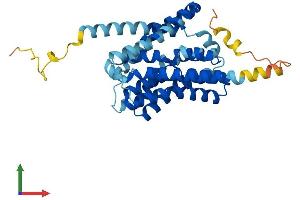AlphaFold protein structure predicition of Mouse Recombinant Slc10a2 Protein, UniprotID P70172 (SLC10A2 Protein (AA 1-348) (His tag))