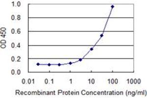 Detection limit for recombinant GST tagged DPYSL4 is 1 ng/ml as a capture antibody. (DPYSL4 antibody  (AA 461-559))