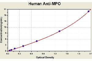 Diagramm of the ELISA kit to detect Human Ant1 -MPOwith the optical density on the x-axis and the concentration on the y-axis. (Anti-Myeloperoxidase Antibody ELISA Kit)