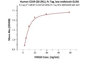 Immobilized Human CD19 (20-291), Fc Tag, low endotoxin (ABIN2180716,ABIN2180715) at 5 μg/mL (100 μL/well) can bind FMC63 with a linear range of 0. (CD19 Protein (AA 20-291) (Fc Tag))