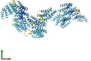 AlphaFold protein structure predicition of Mouse Recombinant Ttc21a Protein, UniprotID Q8C0S4