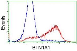 Flow Cytometry (FACS) image for anti-Butyrophilin, Subfamily 1, Member A1 (BTN1A1) antibody (ABIN1496986) (BTN1A1 antibody)