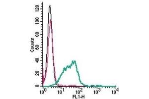 Cell surface detection of CD39 in live intact mouse BV-2 microglia cells: (black line) Cells. (CD39 antibody  (Extracellular) (FITC))