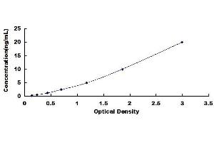 Typical standard curve (DUSP6 ELISA Kit)