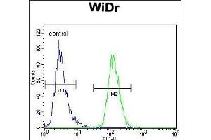 PIK3R5 Antibody (C-term) (ABIN655491 and ABIN2845011) flow cytometric analysis of WiDr cells (right histogram) compared to a negative control cell (left histogram). (PIK3R5 antibody  (C-Term))