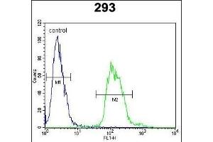 TAC1 Antibody (C-term) (ABIN652053 and ABIN2840522) flow cytometric analysis of 293 cells (right histogram) compared to a negative control cell (left histogram). (TAC1 antibody  (C-Term))
