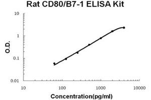 Rat CD80/B7-1 Accusignal ELISA Kit Rat CD80/B7-1 AccuSignal ELISA Kit standard curve. (CD80 ELISA Kit)