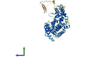 AlphaFold protein structure predicition of Human Recombinant TCP11L1 Protein, UniprotID Q9NUJ3