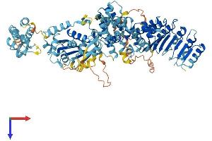 AlphaFold protein structure predicition of Mouse Recombinant Nlrp6 Protein, UniprotID Q91WS2 (NLRP6 Protein (AA 1-869) (His tag))