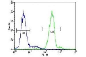 VDAC antibody flow cytometric analysis of HepG2 cells (green) compared to a negative control (blue).