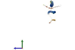 AlphaFold protein structure predicition of Mouse Recombinant Krt32 Protein, UniprotID Q62168 (KRT32 Protein (AA 1-407) (His tag))