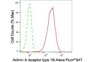 Flow cytometric analysis of Activin A receptor type 1B expression in HT- cells using Activin A receptor type 1B antibody (ABIN7797491), 1:2,000).