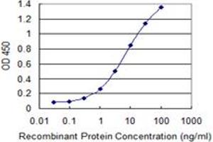 Detection limit for recombinant GST tagged DYNLL1 is 0. (DYNLL1 antibody  (AA 1-72))