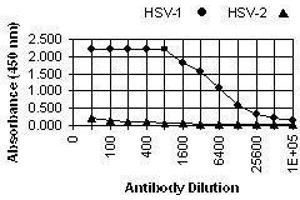 ELISA image for anti-Herpes Simplex Virus Type 1, Glycoprotein C (HSV1 gC) antibody (ABIN265558) (HSV-1 gC antibody)