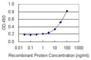 Detection limit for recombinant GST tagged RPLP1 is 1 ng/ml as a capture antibody. (RPLP1 antibody  (AA 1-114))