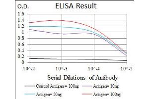 Image no. 4 for anti-Hexosaminidase A (HEXA) antibody (ABIN1498642)