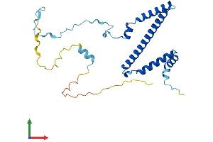 Protein Structure (PS) image for Ribosomal RNA Processing 36 Homolog (RRP36) (AA 1-244) protein (His tag) (ABIN7557180)