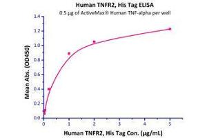 Binding Studies (Bind) image for Tumor Necrosis Factor Receptor Superfamily, Member 1B (TNFRSF1B) (AA 23-257) (Active) protein (His tag) (ABIN2181842)
