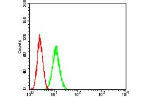 Flow cytometric analysis of HeLa cells using ADAR mouse mAb (green) and negative control (red). (ADAR antibody  (AA 1085-1223))