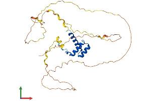 AlphaFold protein structure predicition of Mouse Recombinant Hoxd9 Protein, UniprotID P28357