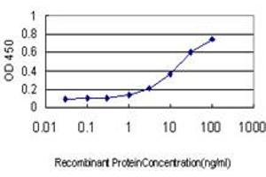 Detection limit for recombinant GST tagged INSRR is approximately 0. (INSRR antibody  (AA 651-760))